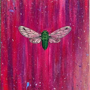Pink/Purple Splatter Cicada Painting Art on 16X20 Stretched Canvas